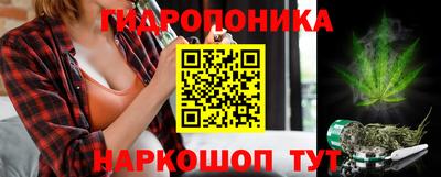 ПСИЛОЦИБИНОВЫЕ ГРИБЫ Кингисепп
