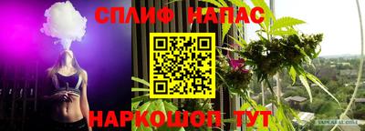 ПСИЛОЦИБИНОВЫЕ ГРИБЫ Кингисепп