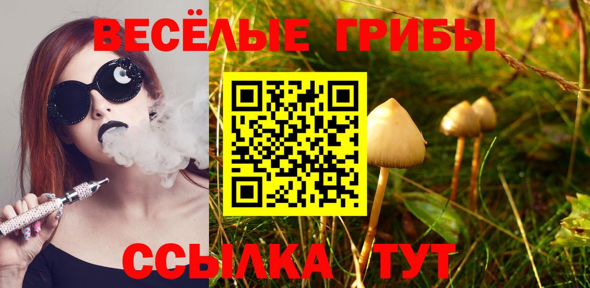 Псилоцибиновые грибы Magic Shrooms Королёв