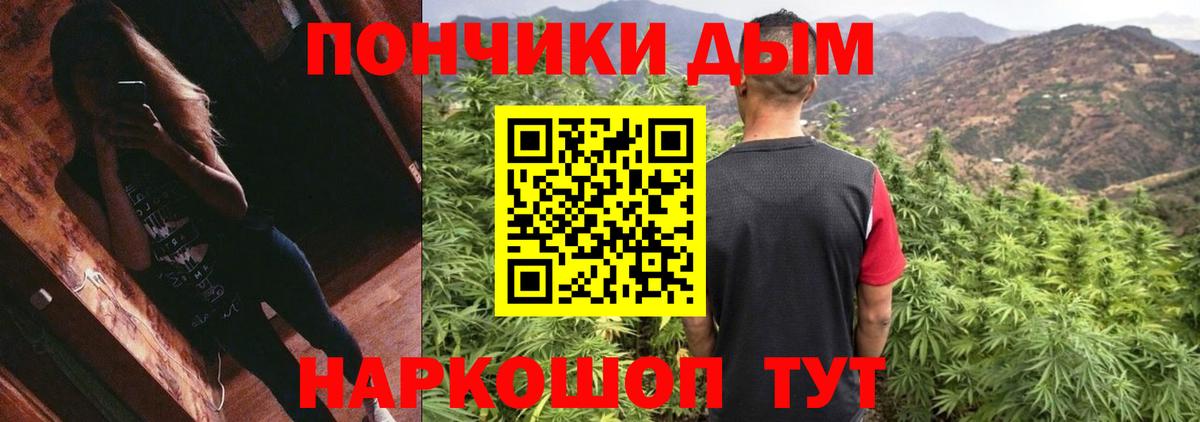 Шишки марихуана план Королёв